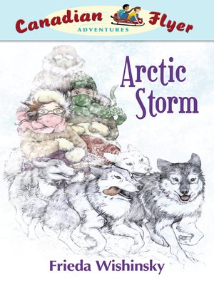 cover image of Arctic Storm